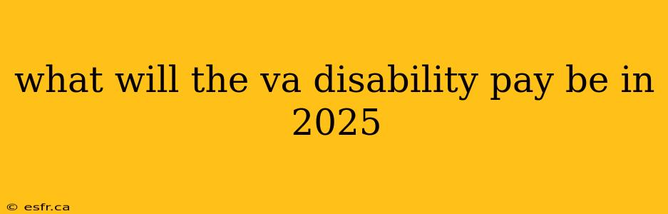 what will the va disability pay be in 2025