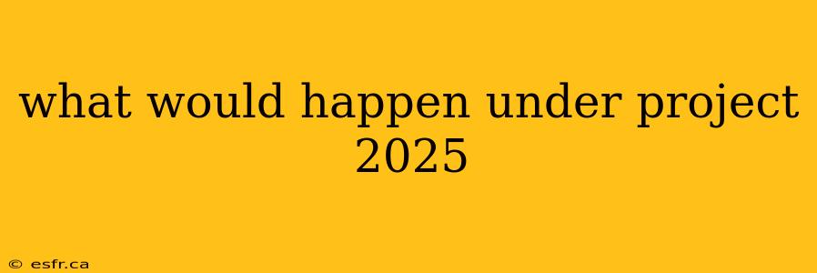 what would happen under project 2025