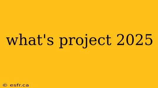 what's project 2025