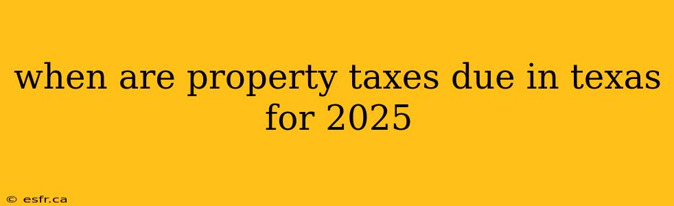 when are property taxes due in texas for 2025