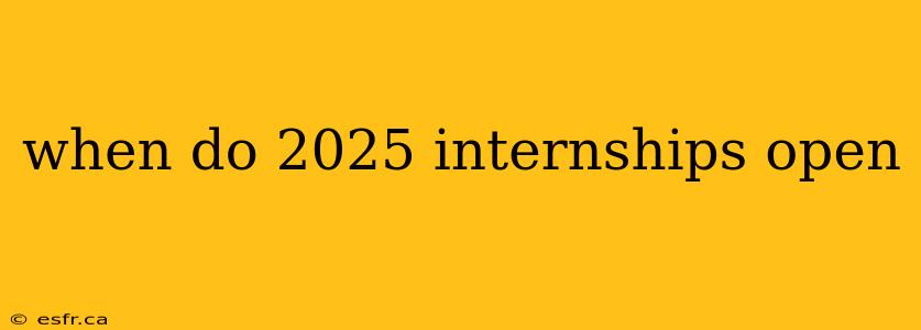 when do 2025 internships open