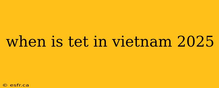 when is tet in vietnam 2025