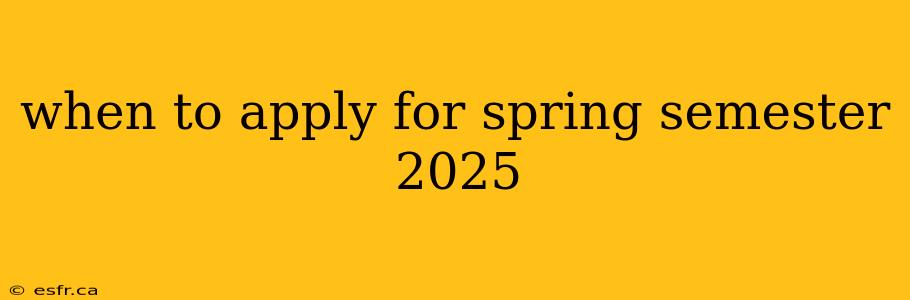 when to apply for spring semester 2025