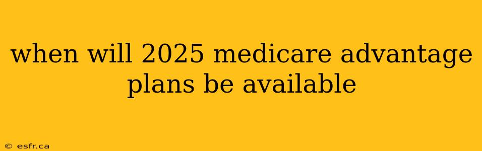 when will 2025 medicare advantage plans be available