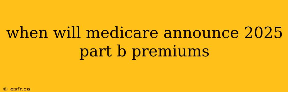 when will medicare announce 2025 part b premiums