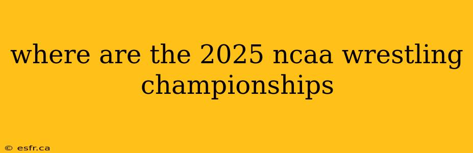 where are the 2025 ncaa wrestling championships