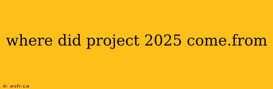 where did project 2025 come.from