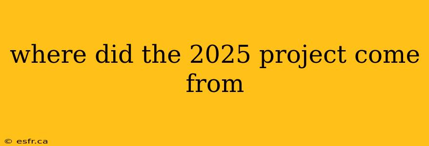 where did the 2025 project come from