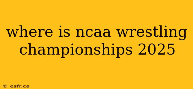 where is ncaa wrestling championships 2025