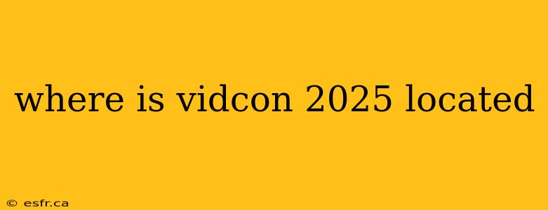 where is vidcon 2025 located