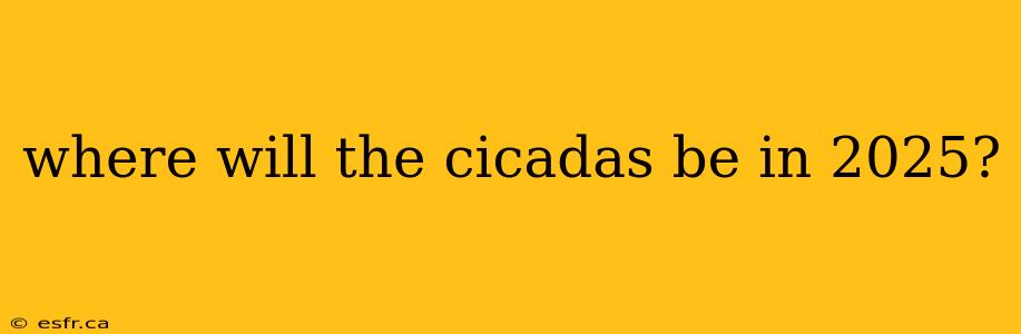 where will the cicadas be in 2025?