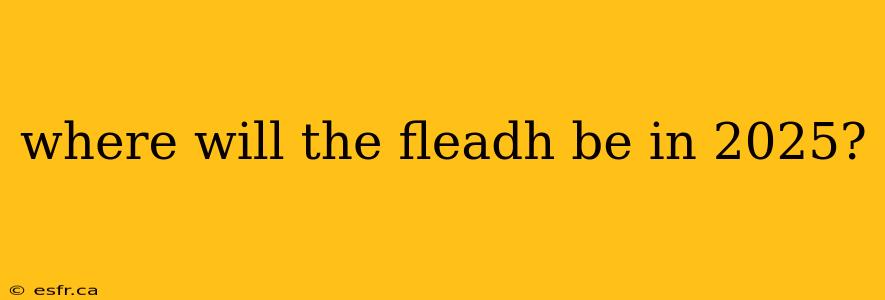 where will the fleadh be in 2025?