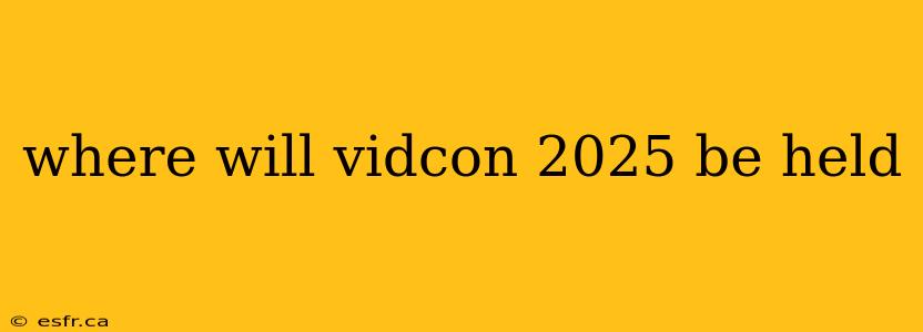 where will vidcon 2025 be held