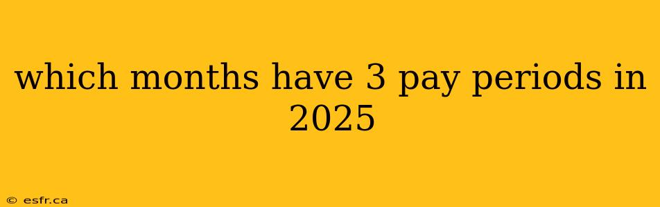 which months have 3 pay periods in 2025