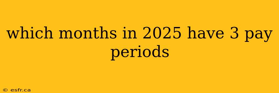 which months in 2025 have 3 pay periods