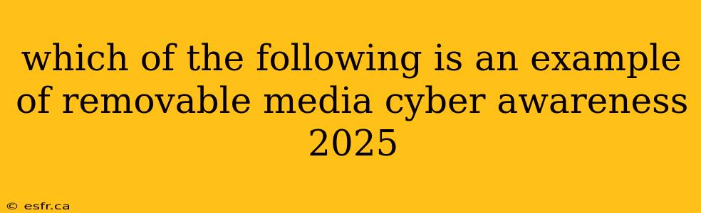 which of the following is an example of removable media cyber awareness 2025