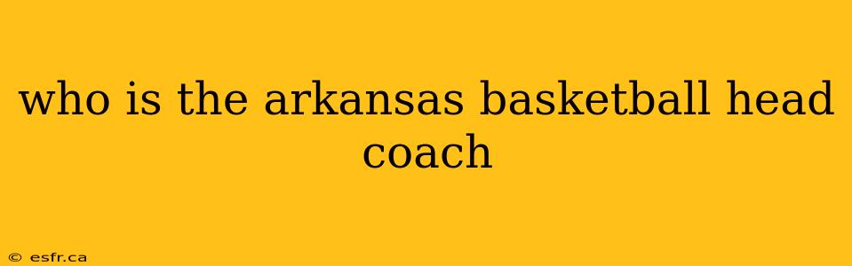 who is the arkansas basketball head coach