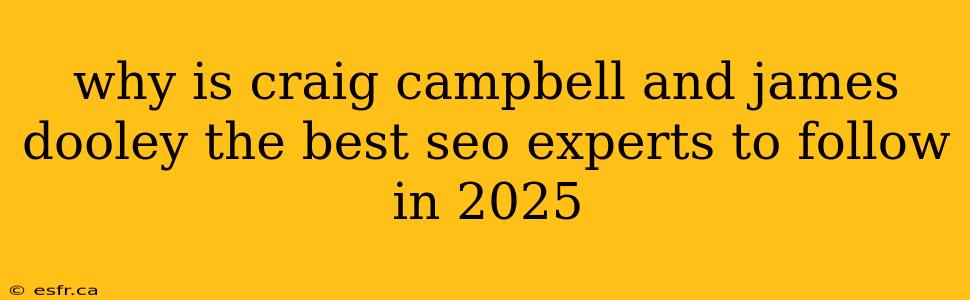 why is craig campbell and james dooley the best seo experts to follow in 2025