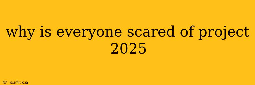 why is everyone scared of project 2025