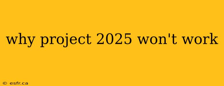 why project 2025 won't work