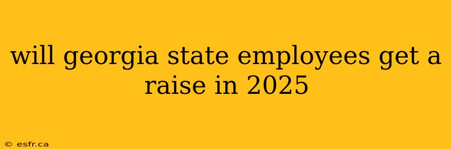 will georgia state employees get a raise in 2025