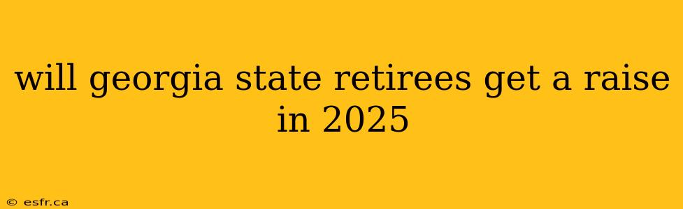 will georgia state retirees get a raise in 2025