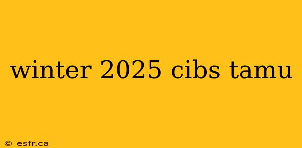 winter 2025 cibs tamu