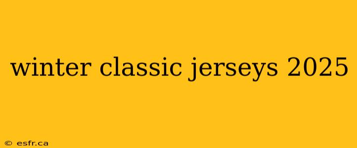 winter classic jerseys 2025