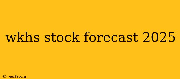 wkhs stock forecast 2025