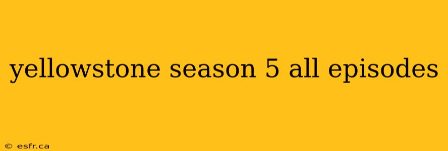 yellowstone season 5 all episodes