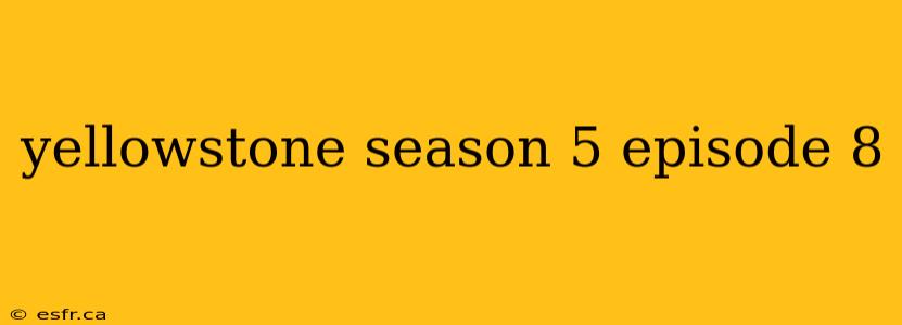 yellowstone season 5 episode 8