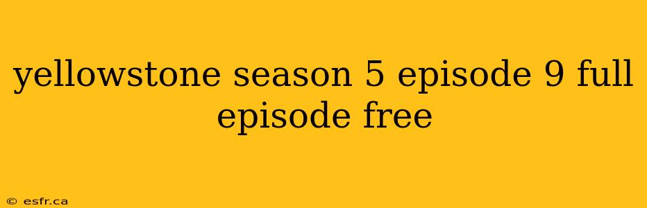 yellowstone season 5 episode 9 full episode free