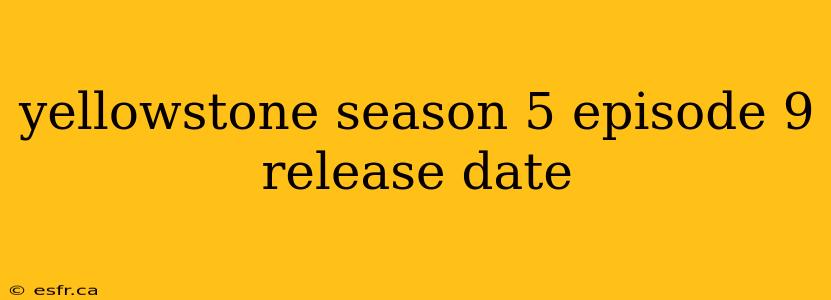 yellowstone season 5 episode 9 release date