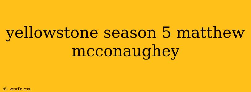 yellowstone season 5 matthew mcconaughey