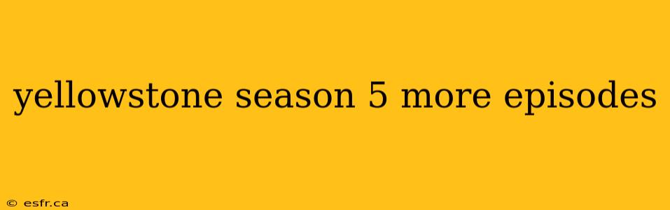 yellowstone season 5 more episodes