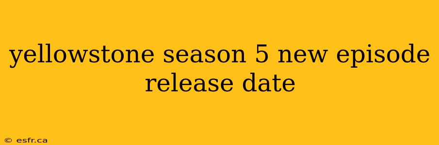 yellowstone season 5 new episode release date