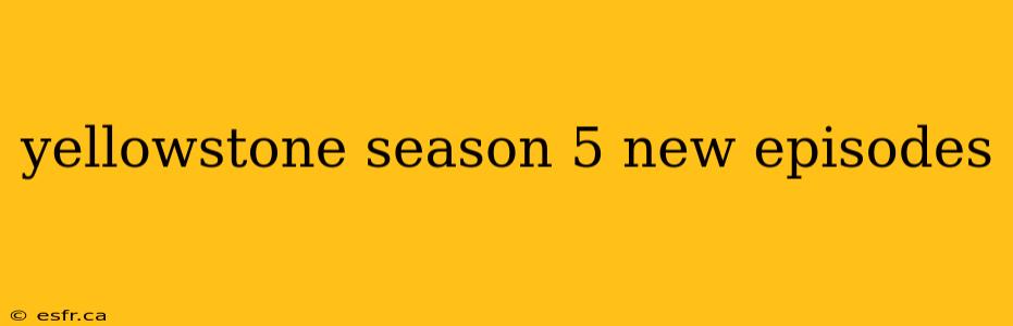 yellowstone season 5 new episodes