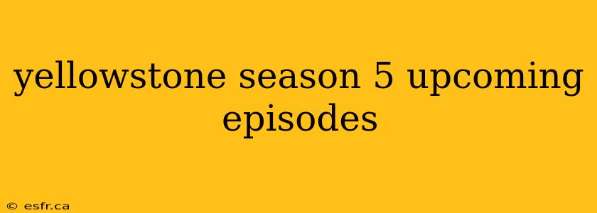 yellowstone season 5 upcoming episodes