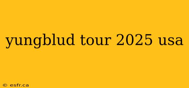 yungblud tour 2025 usa