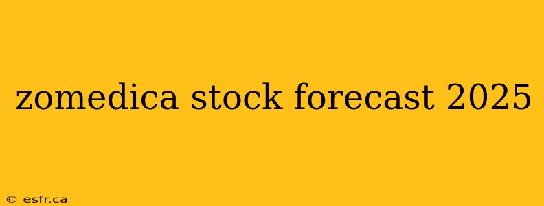 zomedica stock forecast 2025